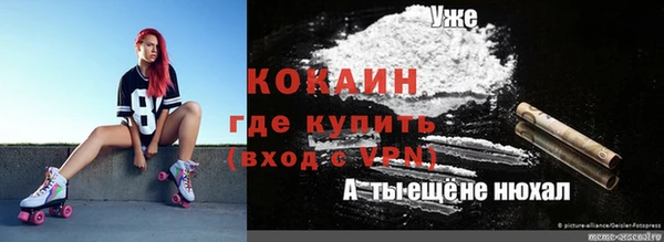 индика Армянск