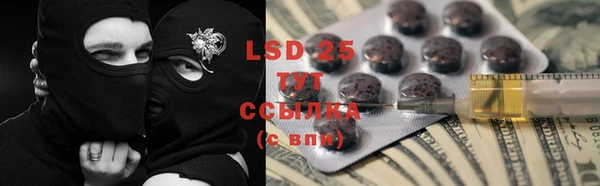 индика Армянск
